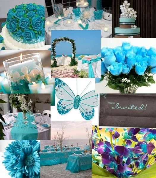 Aqua Wedding Decorations
 42 best images about Party Green and Blue Seahawks on