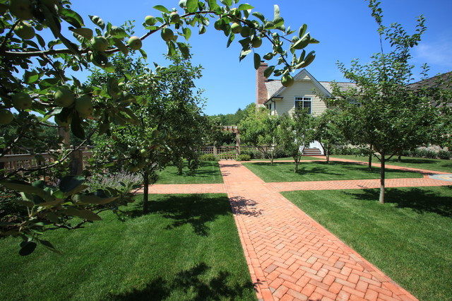 Backyard Orchard Layout
 Dwarf Fruit Orchard with Brick Pathways Traditional
