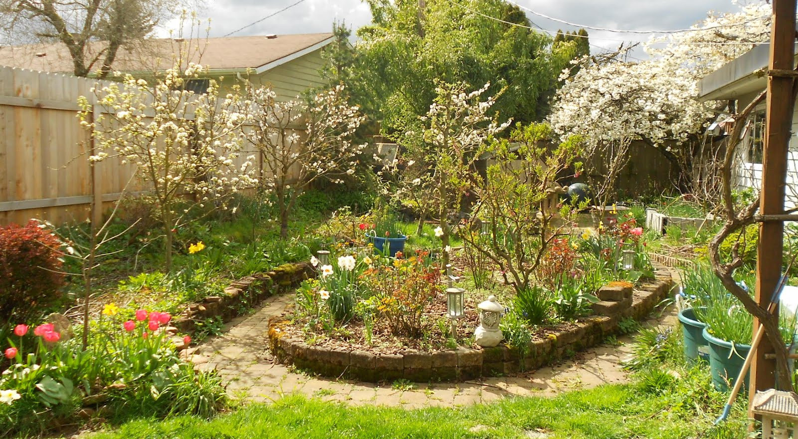 Backyard Orchard Layout
 Growing Greener in the Pacific Northwest Fruit trees in