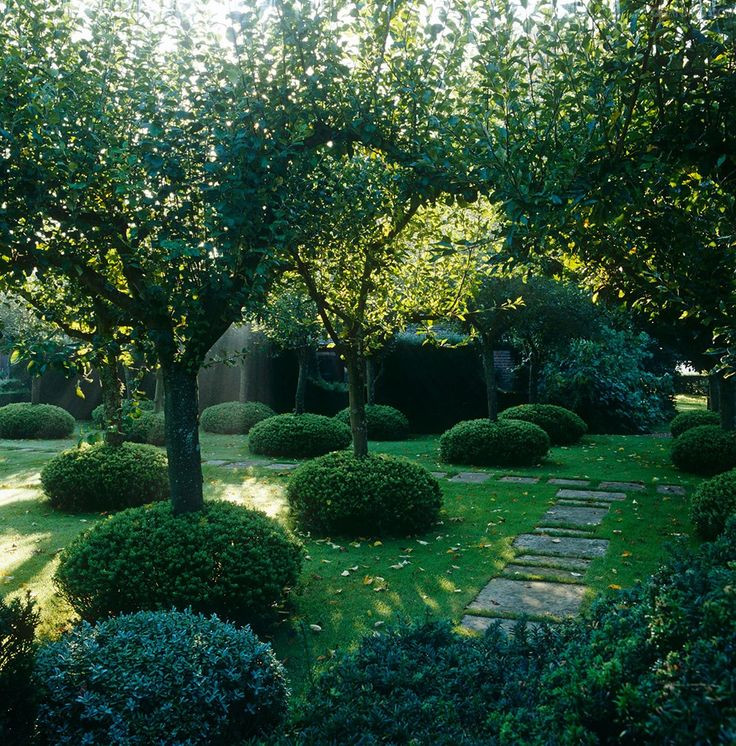 Backyard Orchard Layout
 The 25 best Orchard design ideas on Pinterest