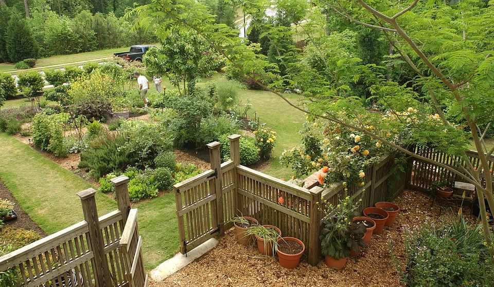 Backyard Orchard Layout
 Guide Picture sample Landscaping ideas backyard orchard