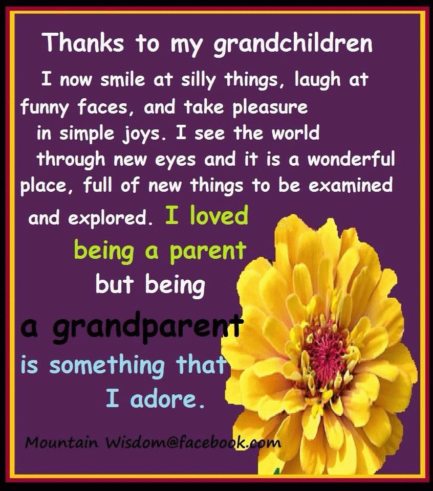 Being A Grandmother Quotes
 Quotes About Being A Grandmother QuotesGram