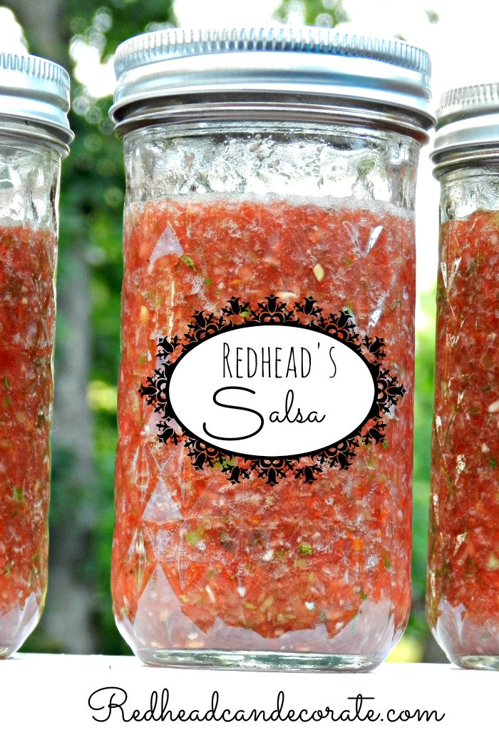 Best Salsa Recipe For Canning
 The best homemade salsa Debbiedoos