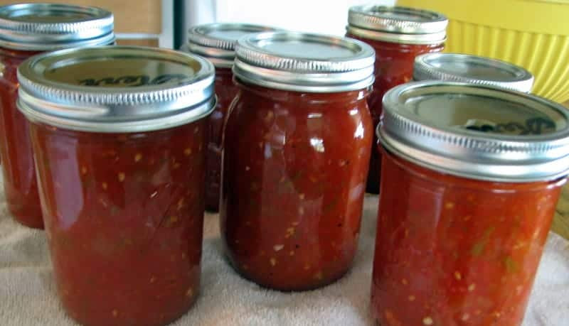 Best Salsa Recipe For Canning
 Canning Salsa The Very Best Salsa Recipe for Canning Your Own