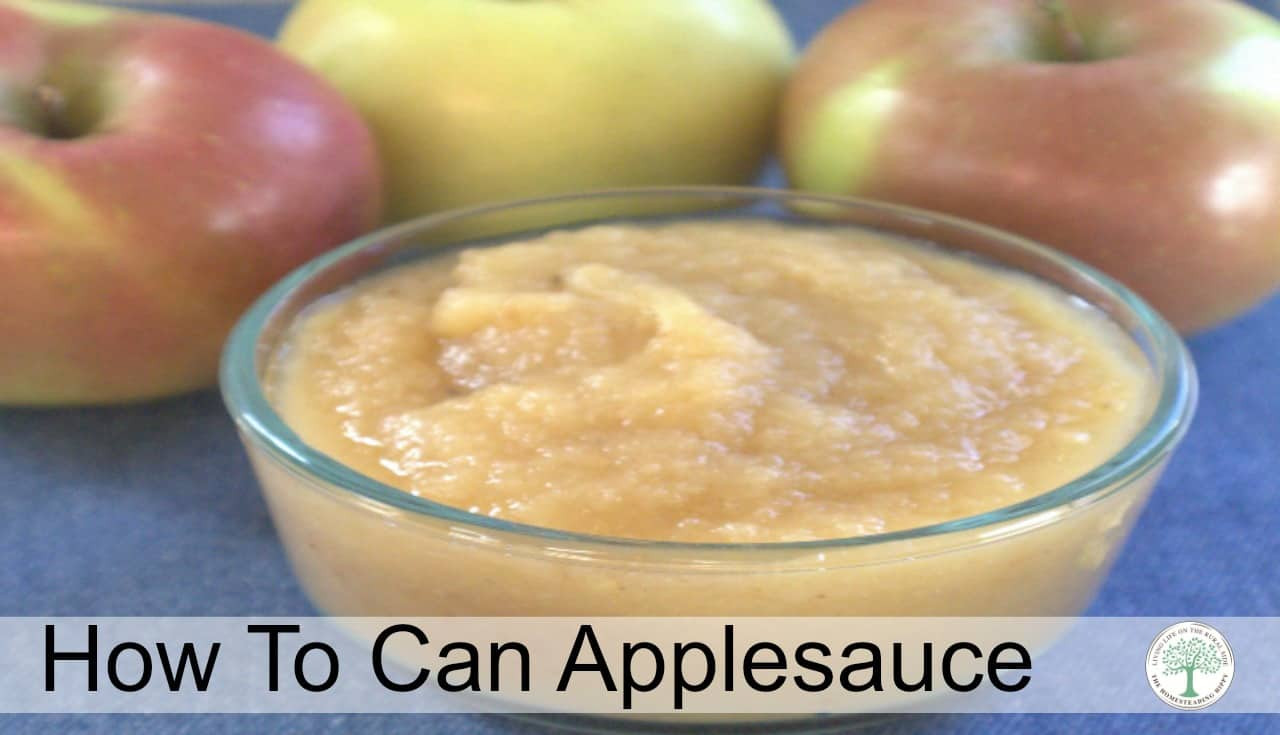 Can Cats Have Applesauce
 How to Can Applesauce The Homesteading Hippy