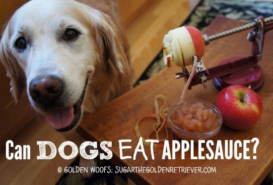 Can Cats Have Applesauce
 30 best images about Can DOGs Eat on Pinterest
