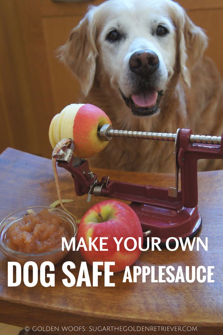 Can Cats Have Applesauce
 699 Best images about dog treats on Pinterest