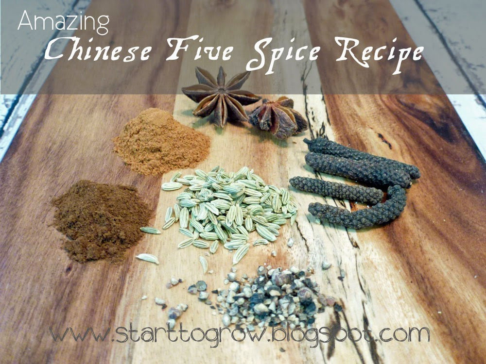 Chinese Five Spice Recipes
 Start To Grow Amazing Chinese Five Spice Recipe