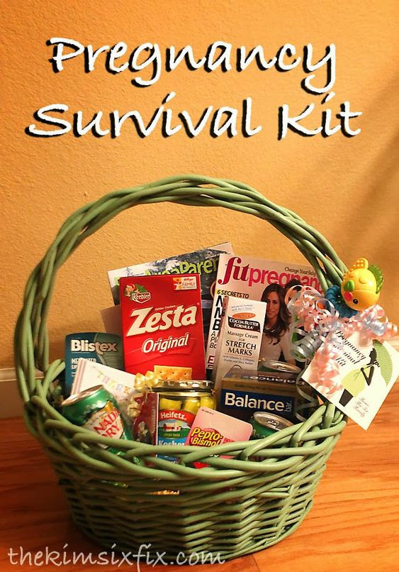 Christmas Gift Ideas For Expecting Mothers
 Pregnancy Survival Kit Mom to be Gift Basket