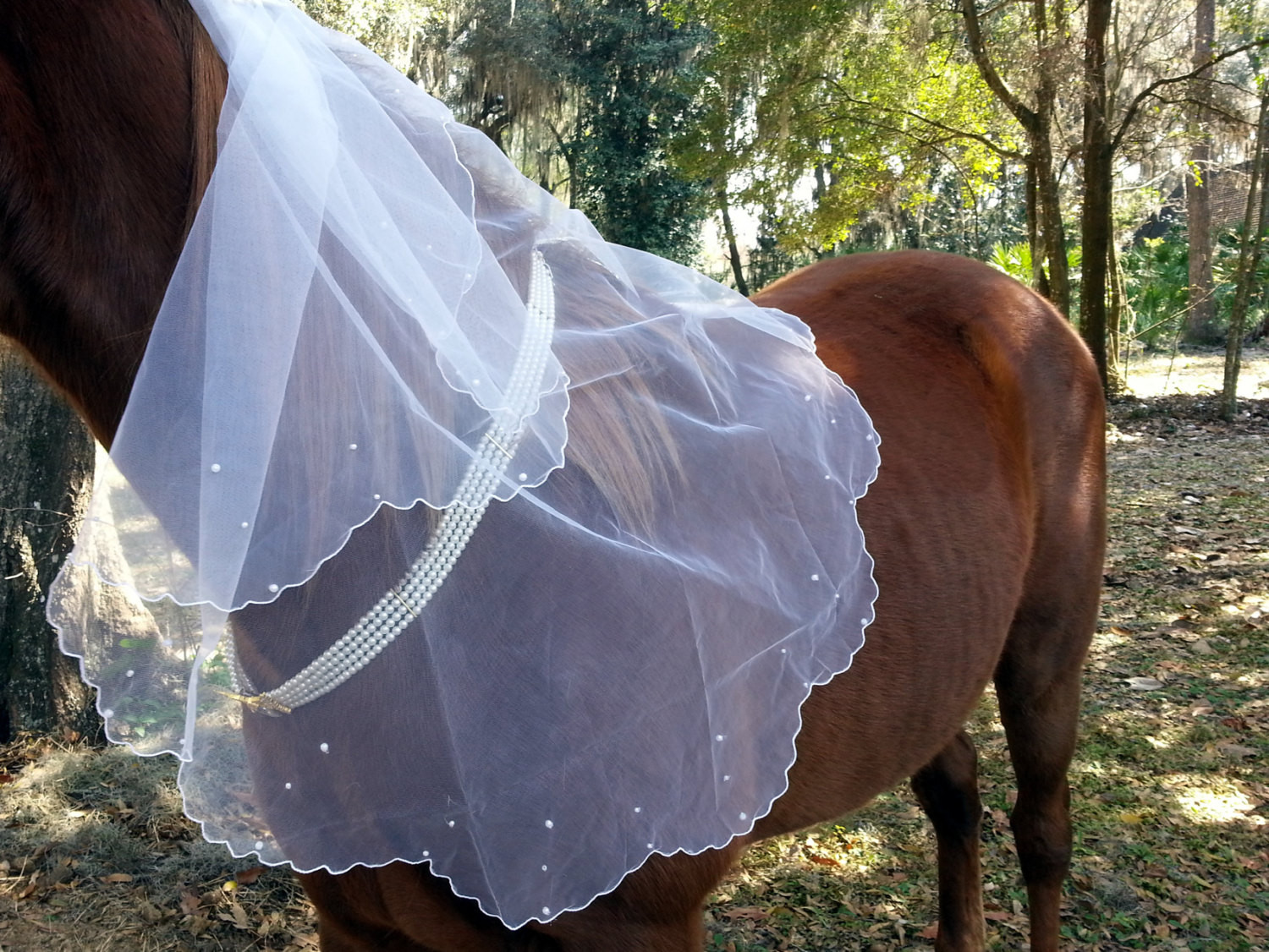 Costume Wedding Veil
 Equine Bridal Veil Equine Bridal Costume Costume for Horse