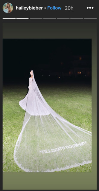 Costume Wedding Veil
 Hailey Bieber Showed f Her Wedding Dress