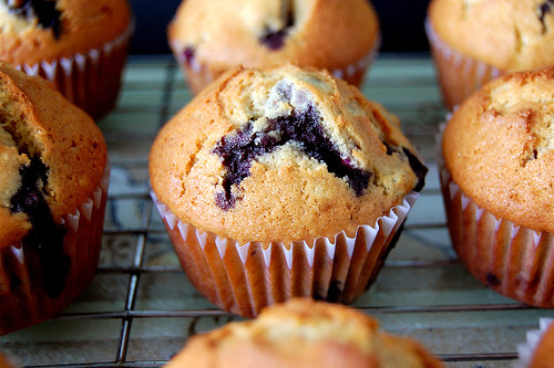 Diabetic Blueberry Muffin Recipes
 Diabetic Blueberry Muffins Recipe