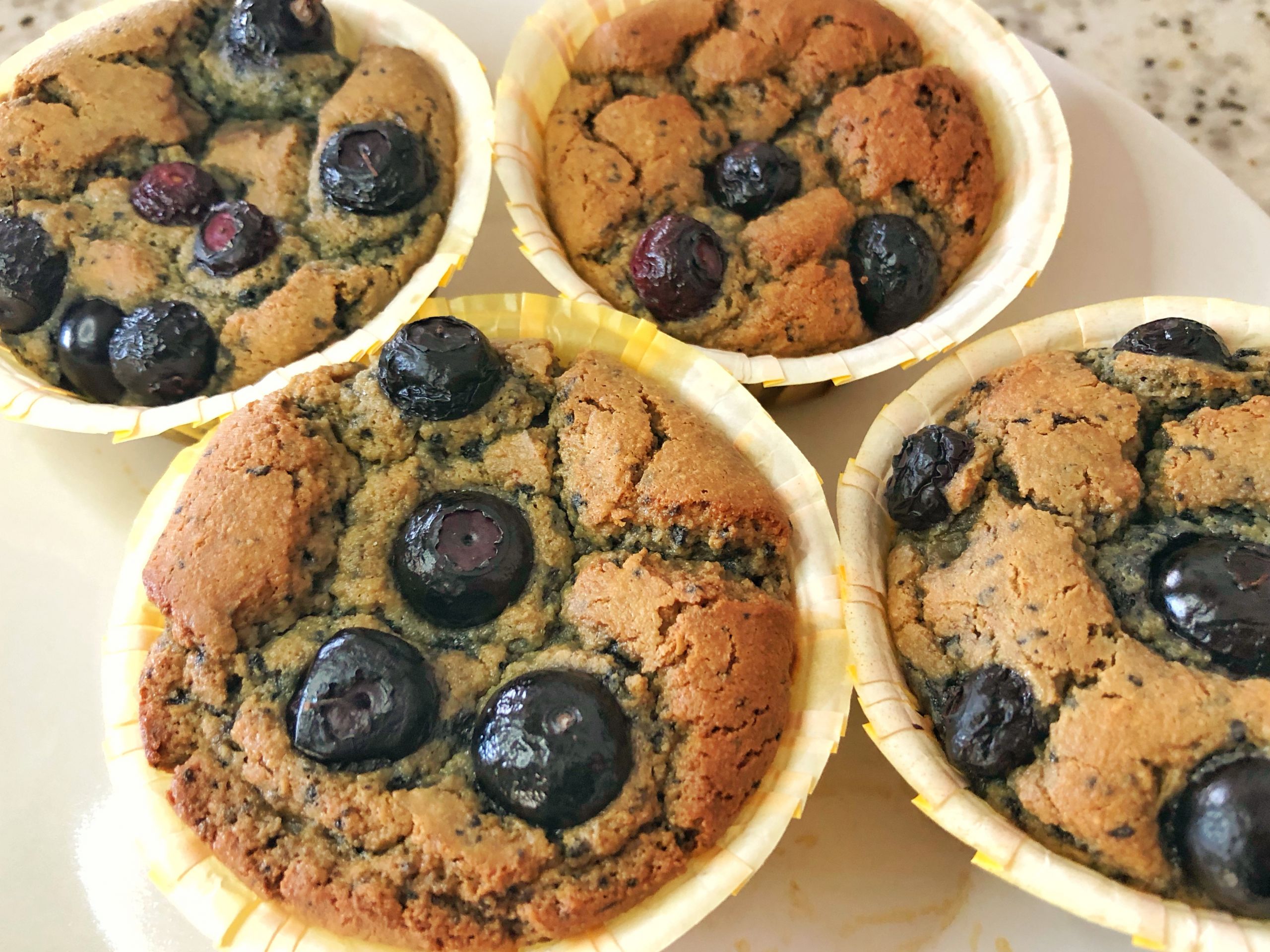 Diabetic Blueberry Muffin Recipes
 Diabetic Blueberry Muffins Grain free Gluten free