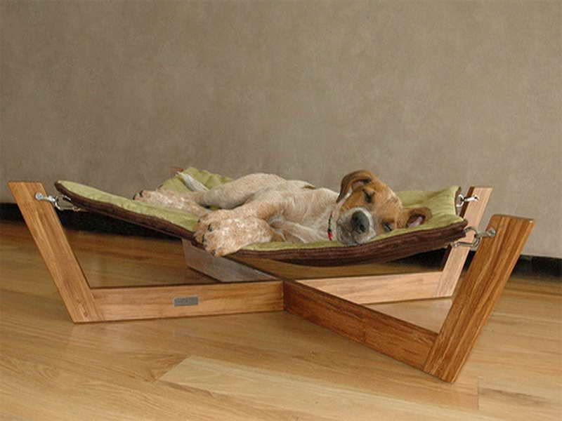 DIY Dog Hammock Bed
 Put this in the garden next to your own hammock…those