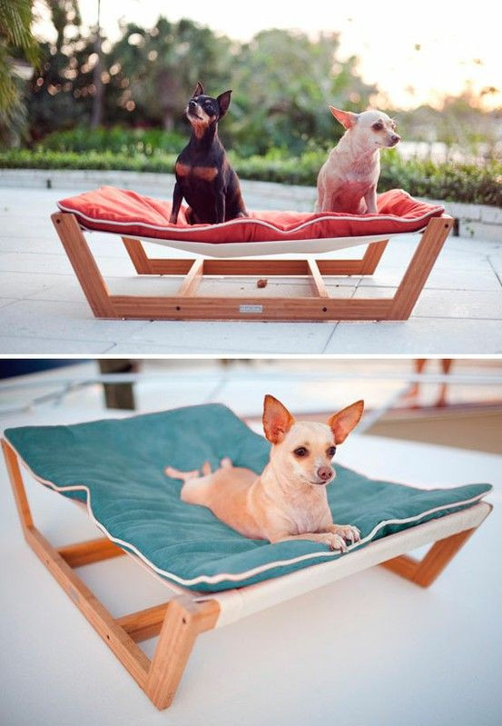 DIY Dog Hammock Bed
 Modern pet hammock i do not have dogs & never will