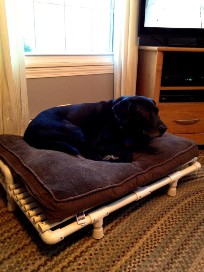 DIY Dog Hammock Bed
 Elevated Dog Bed Diy Choose A Special Hammock Dog Bed
