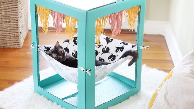 DIY Dog Hammock Bed
 12 DIY Cat Hammocks To Please Your Pet Shelterness