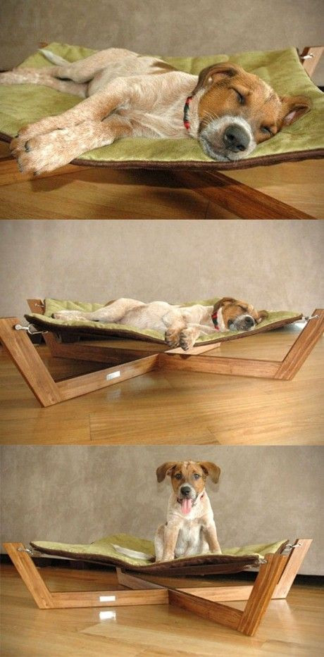 DIY Dog Hammock Bed
 Stylish bed for dog Madison would love this but then