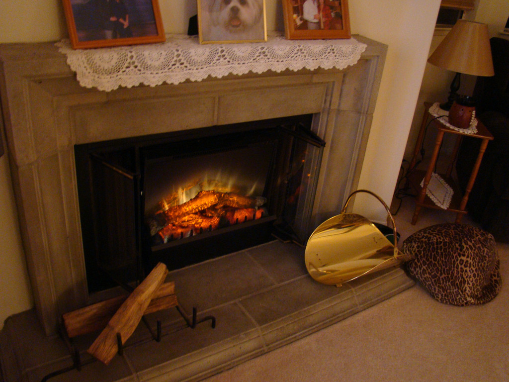 Electric Log Fireplace
 Electric Fireplace Log Insert Gallery