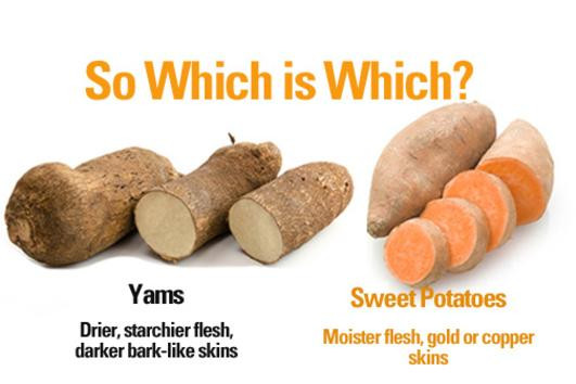 Fiber In Sweet Potato
 Nutrition Facts