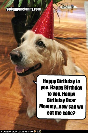 Funny Dog Birthday Wishes
 Dog Funny Birthday Quotes QuotesGram
