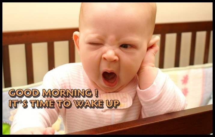 Funny Wake Up Quotes
 Funny Quotes QuoteGanga March 2013