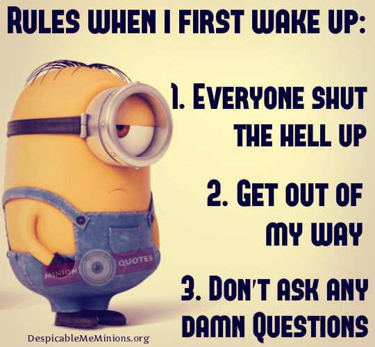 Funny Wake Up Quotes
 Funny Morning Quotes Rules when i first wake up