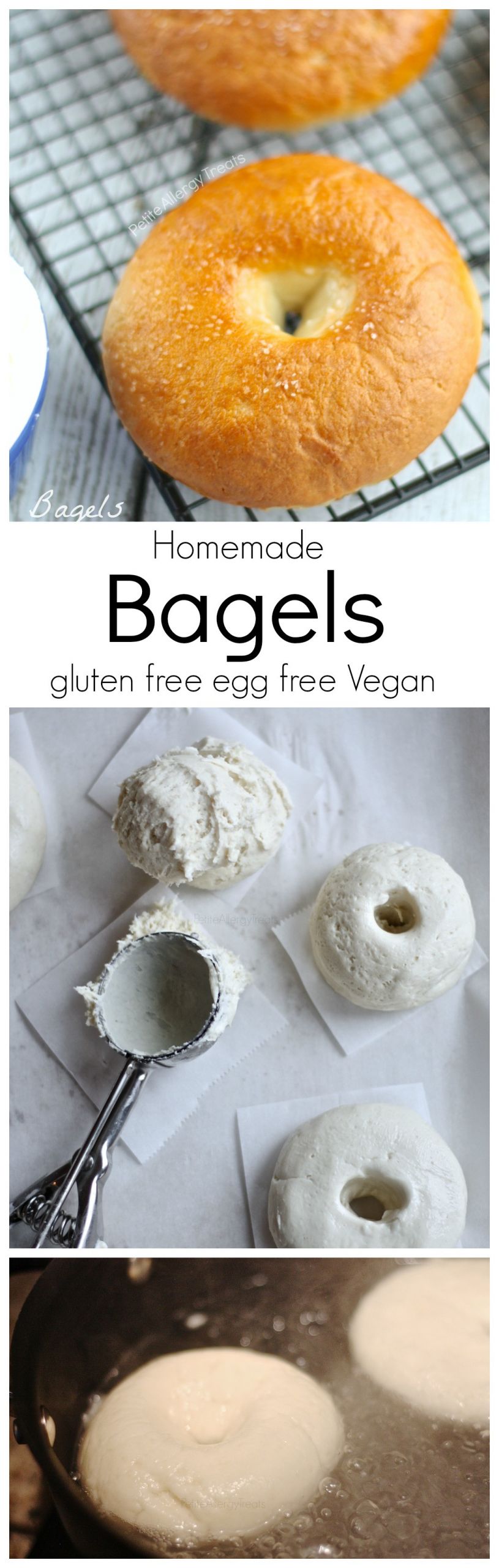 Gluten Free Vegan Bagels
 Gluten Free Egg Free Bagels Vegan Dairy Free Petite
