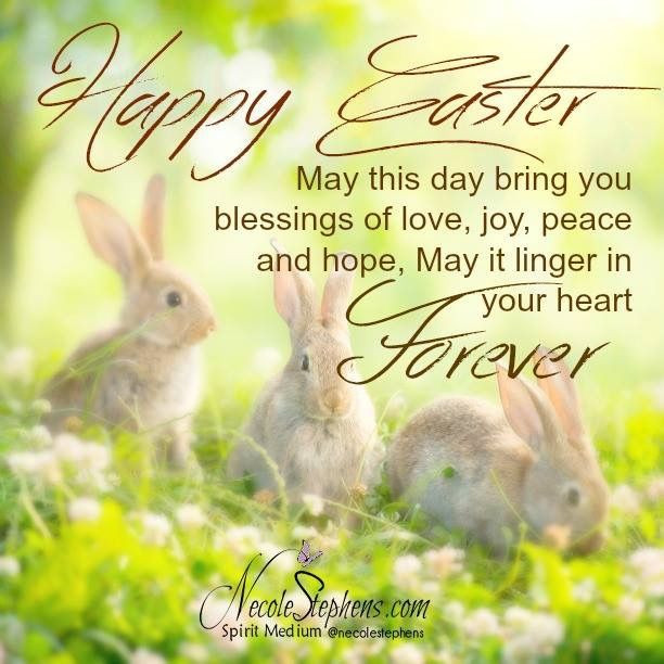 Happy Easter Quotes Funny
 Best 25 Happy easter quotes ideas on Pinterest