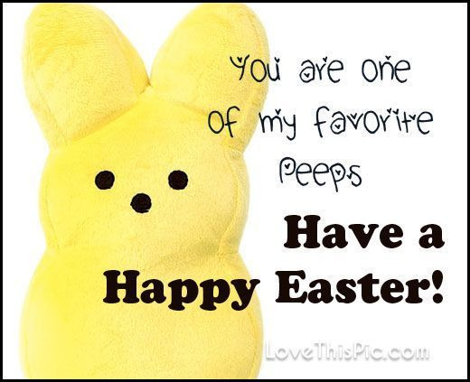 Happy Easter Quotes Funny
 Best 25 Funny easter quotes ideas on Pinterest