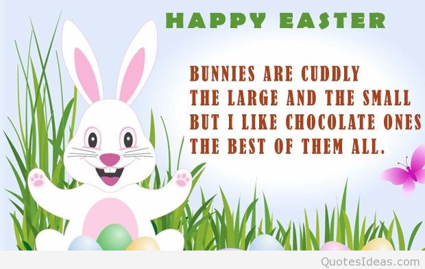Happy Easter Quotes Funny
 Easter Bunny Quotes QuotesGram