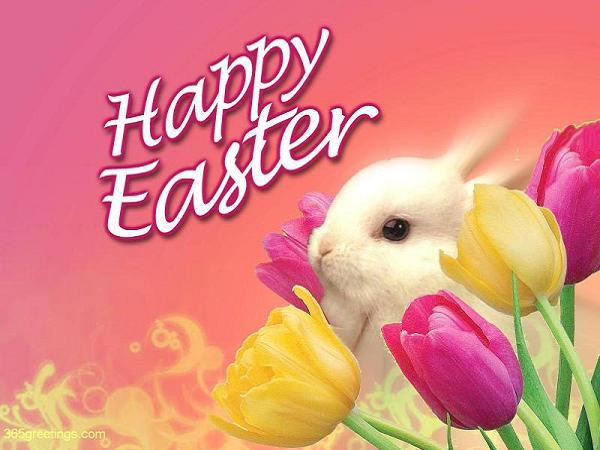 Happy Easter Quotes Funny
 Romantic Quotes Ghazal Sms Sad Friends Poem Sad Sms Funny