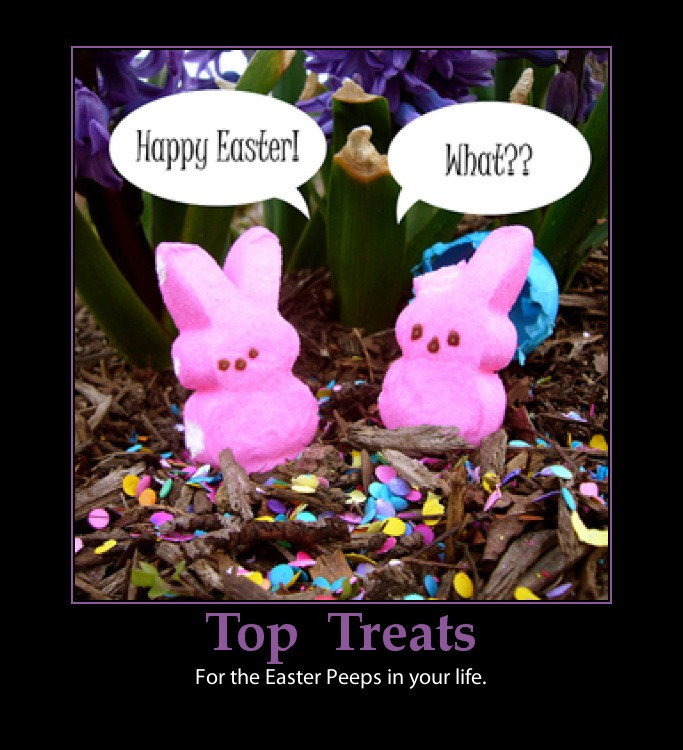 Happy Easter Quotes Funny
 Funny Quotes about Easter