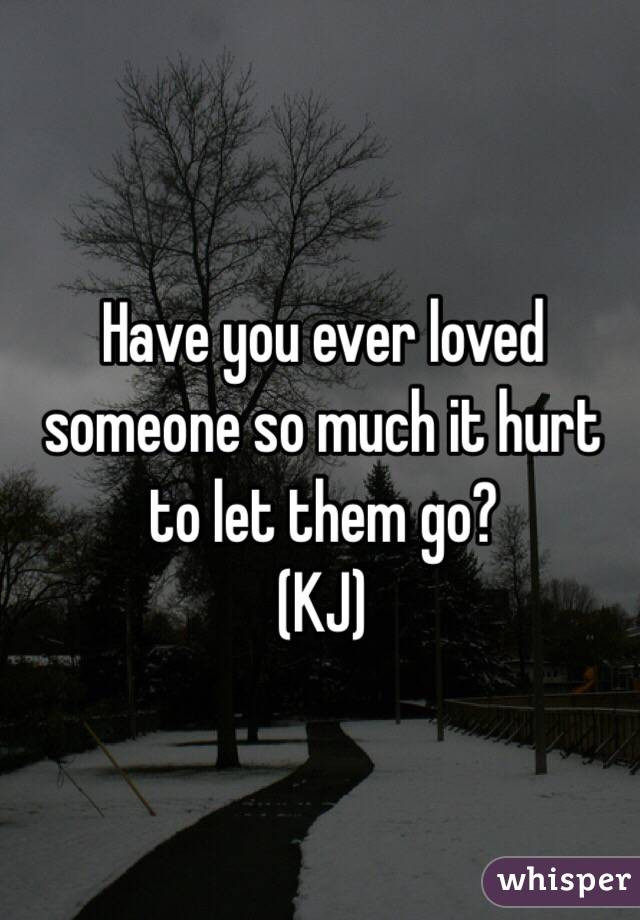 Have You Ever Loved Someone So Much Quotes
 Have you ever loved someone so much it hurt to let them go