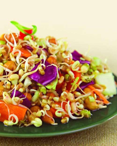 Healthy Vegetable Recipes For Weight Loss
 Sprouts and Ve able Salad Weight Loss After Pregnancy