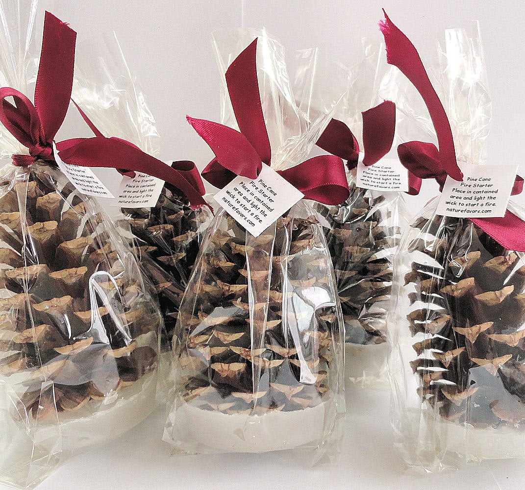 Holiday Party Gifts Ideas
 25 Pine Cone Fire Starter Christmas Party Favors Holiday