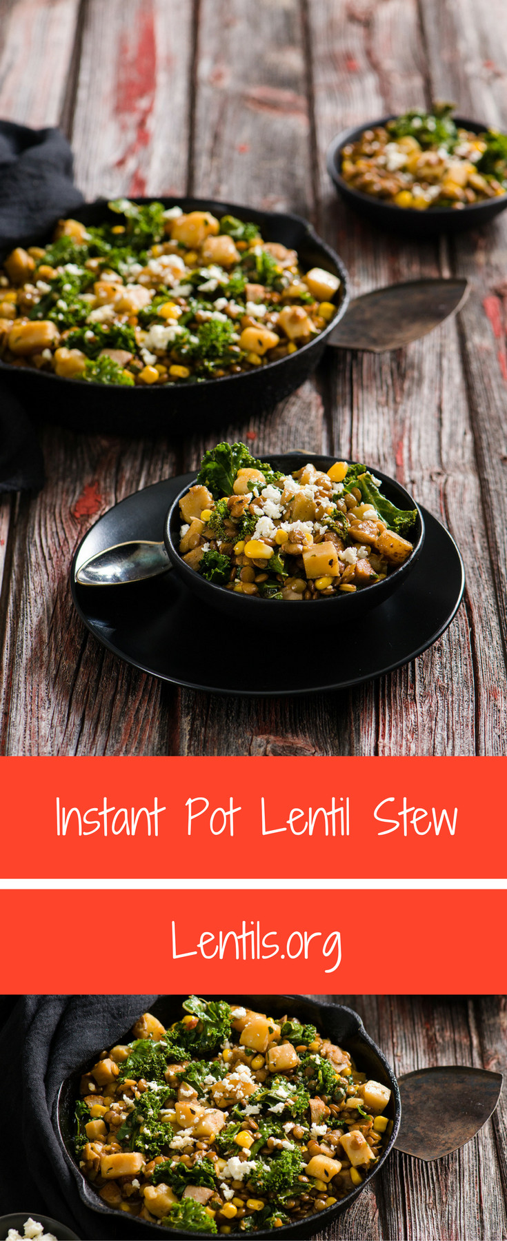 Instant Pot Lentil Stew
 Instant Pot Lentil Stew Recipe