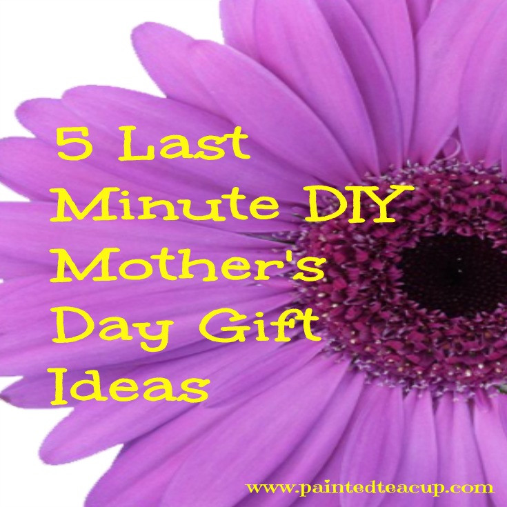 Last Minute Mother'S Day Gift Ideas
 5 Last Minute DIY Mother s Day Gift Ideas