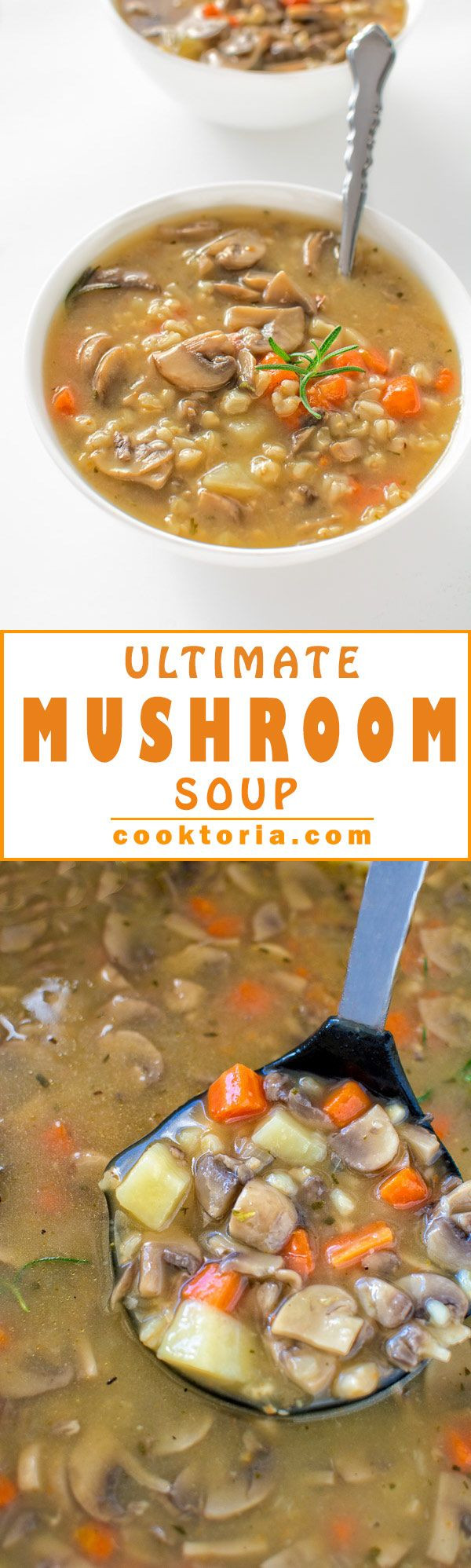 Low Calorie Mushroom Recipes
 Hearty and forting healthy and low calorie this