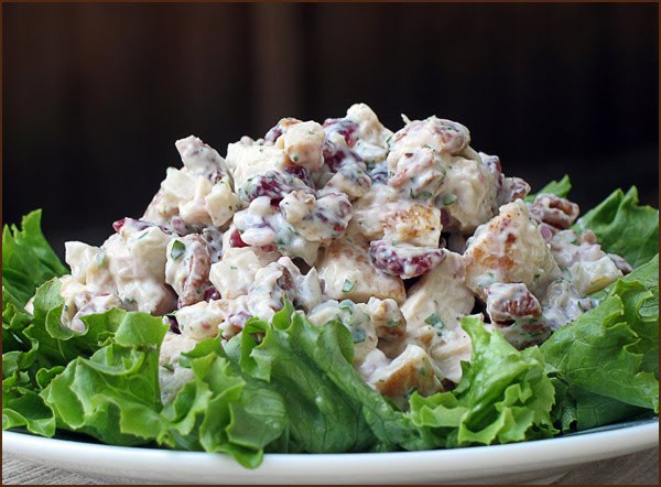 Paleo Chicken Salad Recipes
 Paleo Chicken Salad Recipe Primal Primos