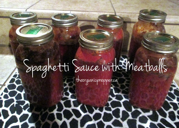 Pressure Canning Spaghetti Sauce
 Canning Spaghetti Sauce with Meatballs Grocery Store
