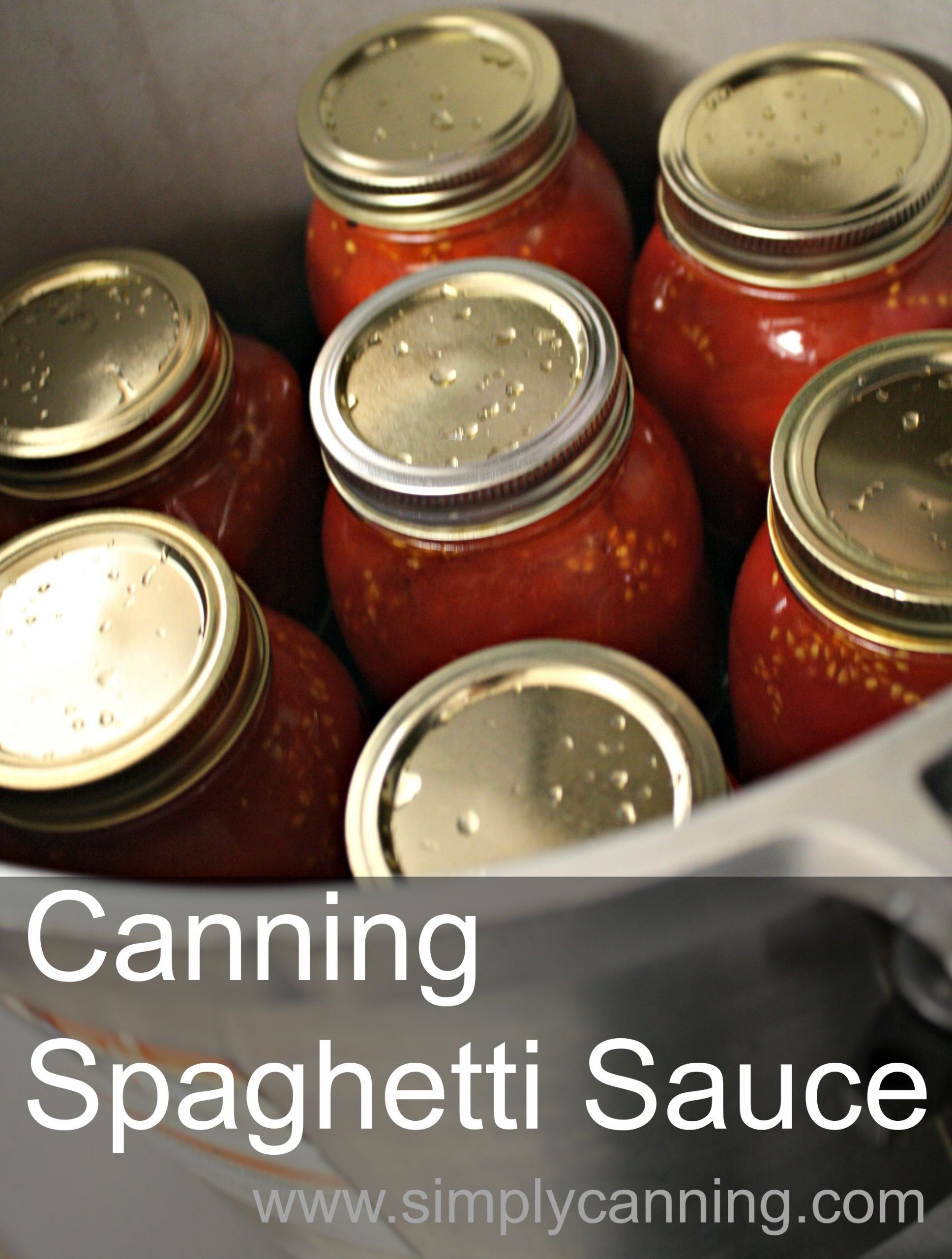 Pressure Canning Spaghetti Sauce
 Canning Spaghetti Sauce Recipe with meat that will save