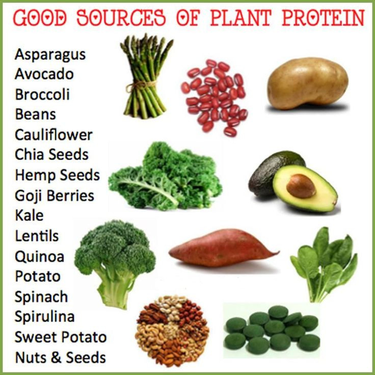 Protein For Vegetarian
 Pin by Courtney Morisette on Protein Sources