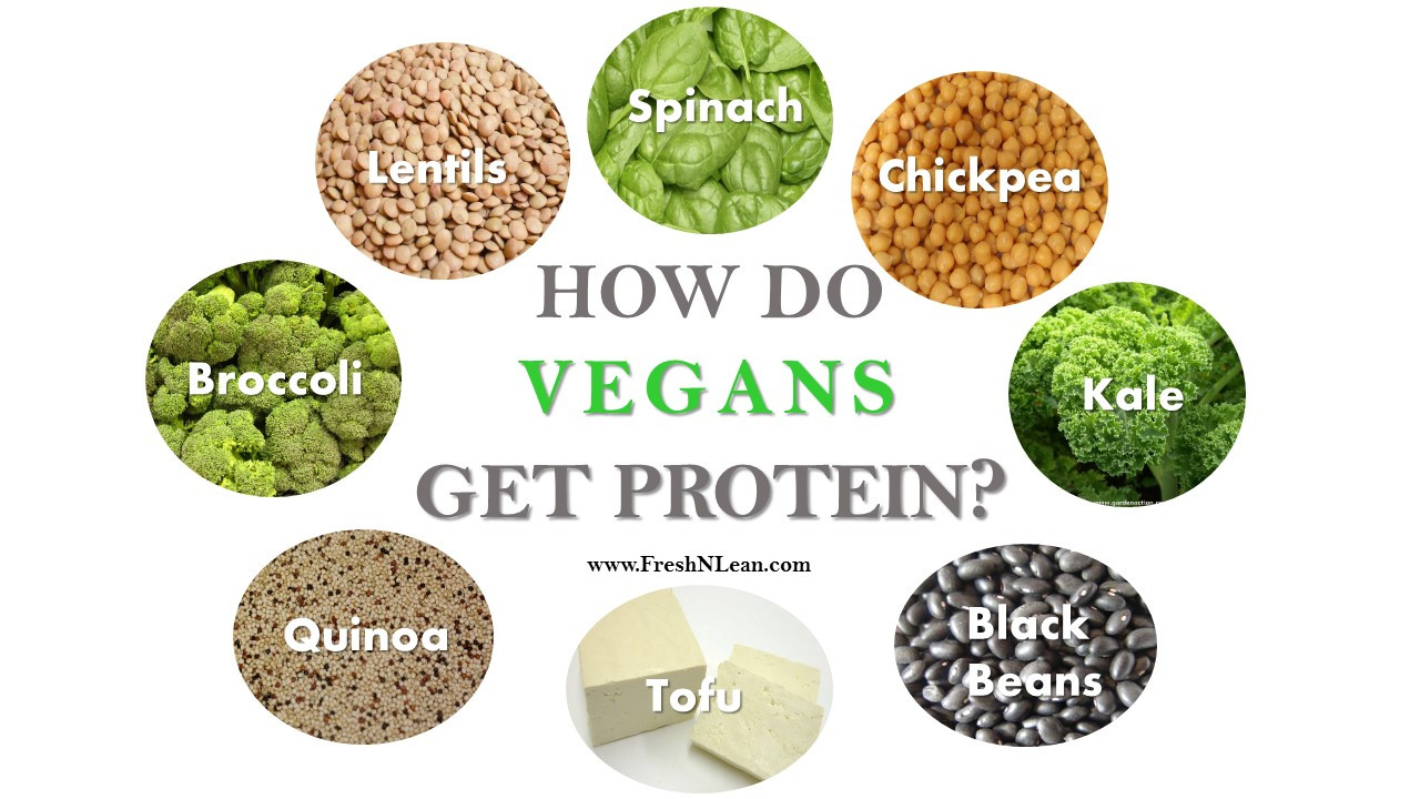Protein For Vegetarian
 Ve arian Diet Plan With Protein Diet Plan
