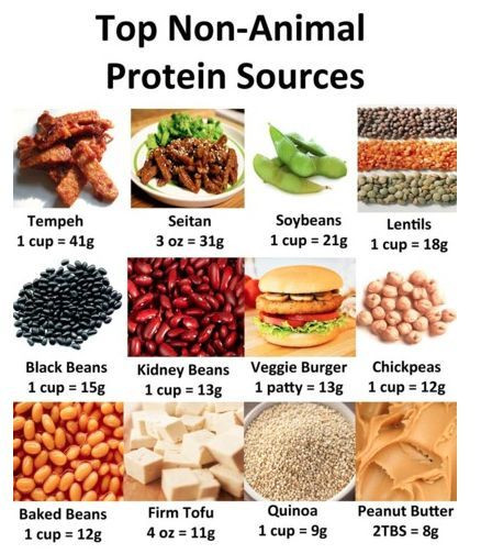 Protein For Vegetarian
 Vegan Protein Options