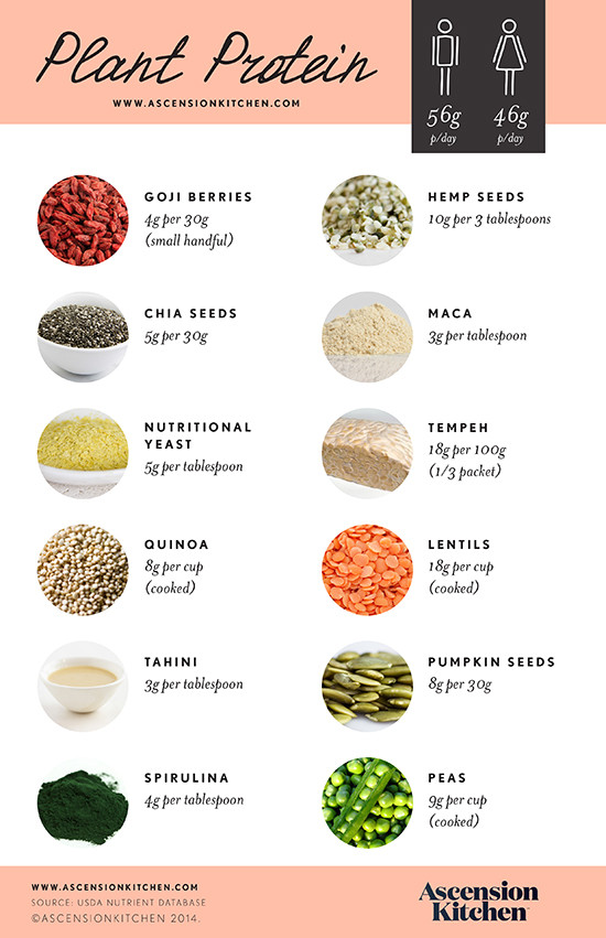 Protein For Vegetarian
 Plant Based Protein Sources