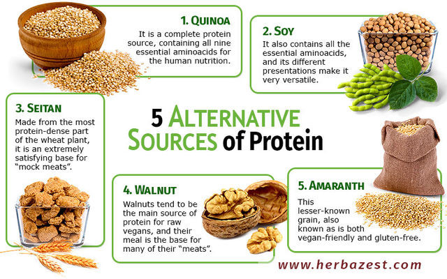 Protein For Vegetarian
 Ve arian Myths Debunked Julie Green and Keen