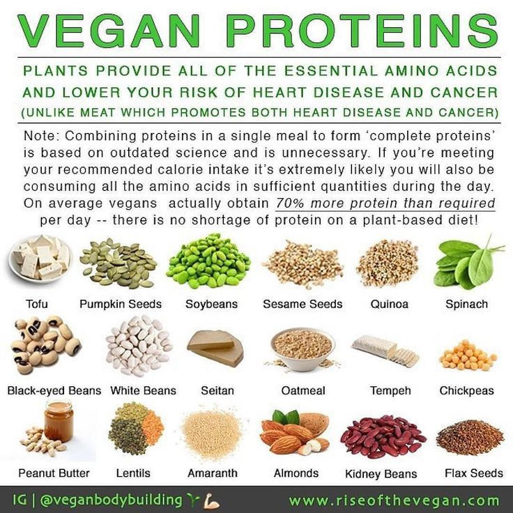 Protein For Vegetarian
 Vegans often hear "but where do you your protein