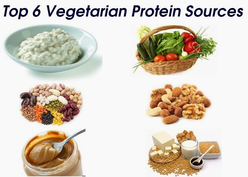 Protein For Vegetarian
 The Knight Kevin s Blog