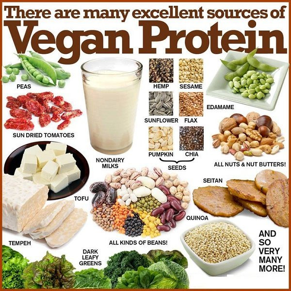Protein For Vegetarian
 To all the people who claim a vegan t is expensive